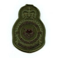 RCAF CAF Canadian 441 Squadron Heraldic OD Crest Patch