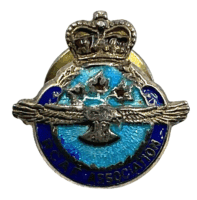Royal Canadian Air Force Association Clutch Back Lapel Pin Badge