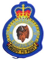 Canadian Forces RCAF 404 Squadron Heraldic Colour Crest Patch Vintage