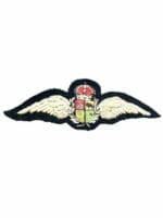 WW2 South African Air Force SAAF Pilots Wing 3