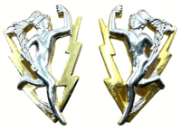 Canadian Forces Signal Corps Collar Badge Insignia Pair