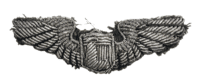US USAAF Bullion Embroidered Liaison Officers Wings Insignia Patch