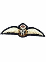 WW2 Canadian RCAF Padded Pilots Wing 1