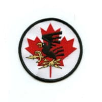 RCAF CAF Canadian 414 Electronic Warfare Colour Squadron Crest Patch