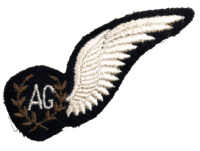 WW2 British Royal Air Force Air Gunner AG Half Wing WW2 British Royal Air Force Air Gunner AG Half Wing