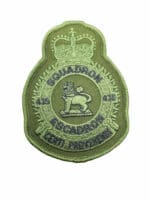 RCAF CAF Canadian 435 Squadron Heraldic OD Crest Patch