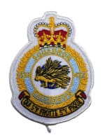 Canadian Forces RCAF 433 Squadron Heraldic Crest Patch Colour Vintage 2