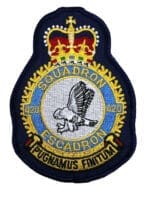RCAF CAF Canadian 420 Squadron Heraldic Colour Crest Patch RCAF CAF Canadian 420 Squadron Heraldic Colour Crest Patch