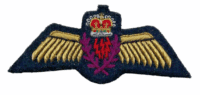 Canadian Forces RCAF AESOP Bullion Wire Full Size Wing Canadian Forces RCAF AESOP Bullion Wire Full Size Wing