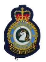 Canadian Forces RCAF 449 Heraldic Colour Squadron Crest Patch Vintage