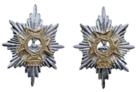 British Army Bedfordshire and Herefordshire Regiment Stay Bright Collars Pair