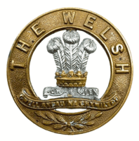 British Welsh Fusiliers Helmet Plate Centre British Welsh Fusiliers Helmet Plate Centre