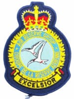 Canadian RCAF Air Service Group Heraldic Colour Crest Patch Vintage