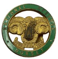 WW1 British National Reserve Dorset Enamel Button Hole Badge