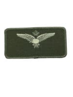 Canadian Forces RCAF 1 CAD Air Division Nametag Crest OD Green Patch