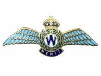 WW2 British Wings For Britain Enameled Merit Wings Pin Back