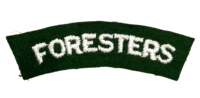 British Sherwood Foresters Shoulder Title Insignia Single