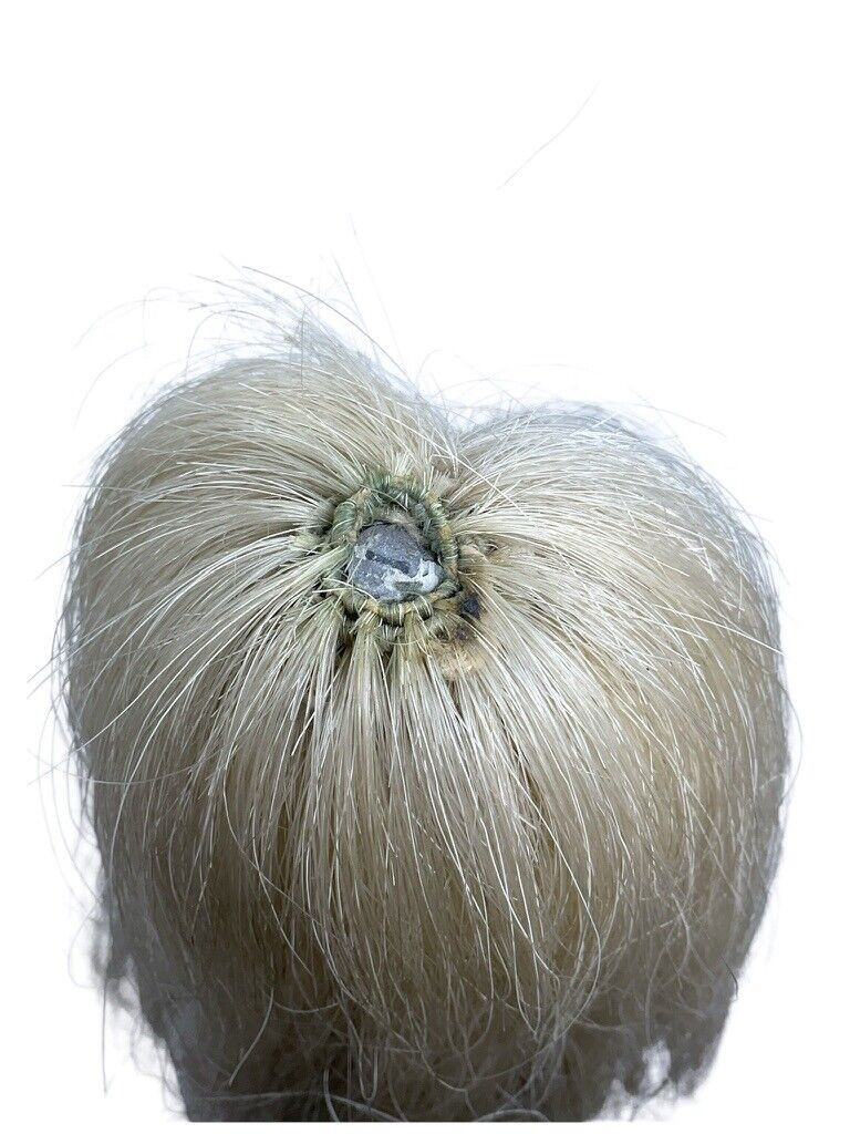 Canadian Governor Generals Body Guards GGBG Cavalry Helmet Canadian Governor Generals Body Guards GGBG Cavalry Helmet