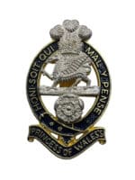 British Army Princess of Wales Royal Regiment Cap Badge