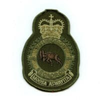 RCAF CAF Canadian 419 Squadron Heraldic OD Crest Patch 2