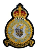 British RAF Belgian 350 Squadron Heraldic Colour Crest Patch