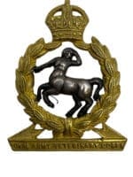 WW2 British Royal Army Veterinary Corps Officers Gilt Collar Insignia Single