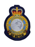 Canadian Forces RCAF 415 Squadron Heraldic Crest Patch Colour Vintage