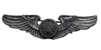 US USAF Enlisted Aircrew Badge Pin Back Insignia