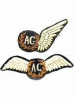 WW2 British RAF Air Gunner Wing X 2 Prototype Full Wing RARE