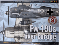 WW2 German Luftwaffe Fw 190s over Europe Part 1 No 35 Softcover Reference Book