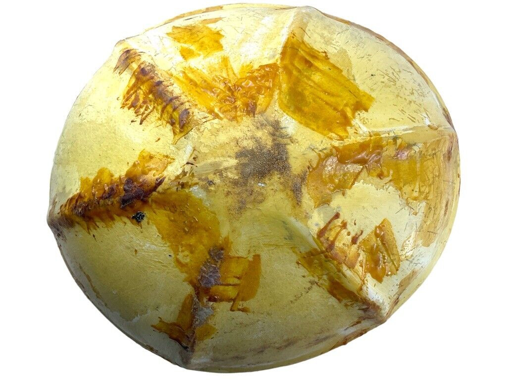 Canadian Forces RCAF H41 Medium Bone Dome Helmet Shell Canadian Forces RCAF H41 Medium Bone Dome Helmet Shell