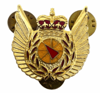 Canadian Forces RCAF Airborne Early Warning Collar Badge Insignia Single