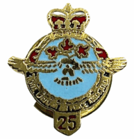 Royal Canadian Air Force Association 25 Years Clutch Back Lapel Pin Badge
