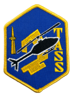 Canadian RCAF 2 TASS Tactical Air Support Squadron Colour Crest Patch Vintage