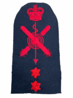 British RN Navy Torpedo Anti-Submarine Instructor Trade Patch