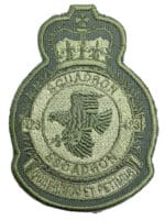 Canadian Forces RCAF 423 Squadron Heraldic OD Green Crest Patch Vintage