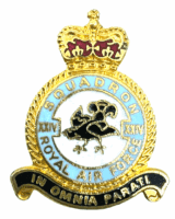 British RAF 24 Squadron Crest Enamel Sweetheart Badge Insignia Pin Back
