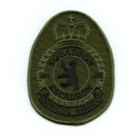 RCAF CAF Canadian 411 Squadron Heraldic OD Crest Patch 2