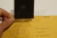 WW2 British Airborne Para Equipment in Basket Original Negative #127