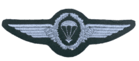 West German Airborne Silver Wreath Qualification Patch Insignia