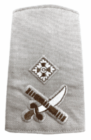 British Officers Major General Tropical Slip On Shoulder Title Insignia