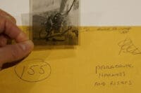 WW2 British Airborne Para Parachute Harness and Risers Original Negative #155