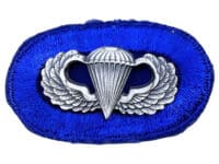 US Army 502nd Infantry Airborne Jump Oval Wings Insignia