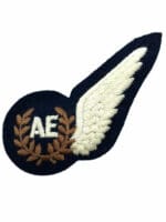 WW2 British RAF Aero Engineers AE Half Wing Insignia