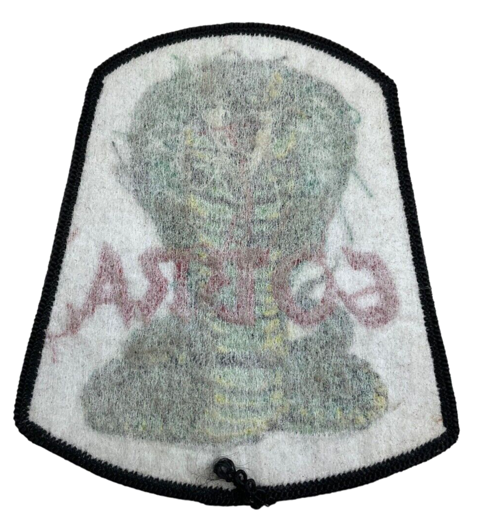 Royal Canadian Air Force Cobra Cold Lake Flight Training School Flight Patch Royal Canadian Air Force Cobra Cold Lake Flight Training School Flight Patch