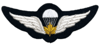 Canadian Forces 67 Pattern Airborne Jump Wings Insignia