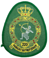 Netherlands Air Force 220 Squadron Paraat En Trefzeker Patch