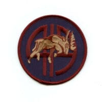 RCAF CAF Canadian 419 Moose Squadron Colour Crest Patch 2