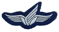 West German Luftwaffe Womans Airforce Insignia Wings