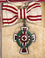 WW1 Austrian Women's Red Cross Medal In Case